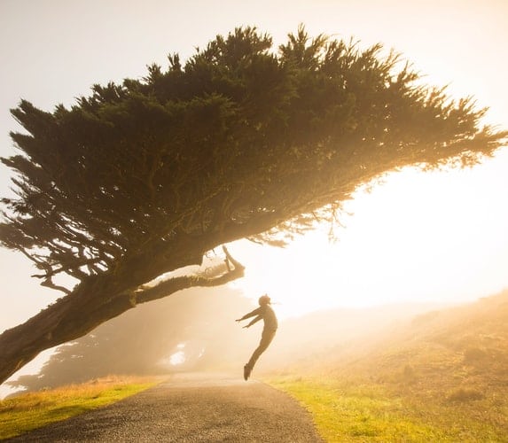 person leaping to freedom under tree sun shining