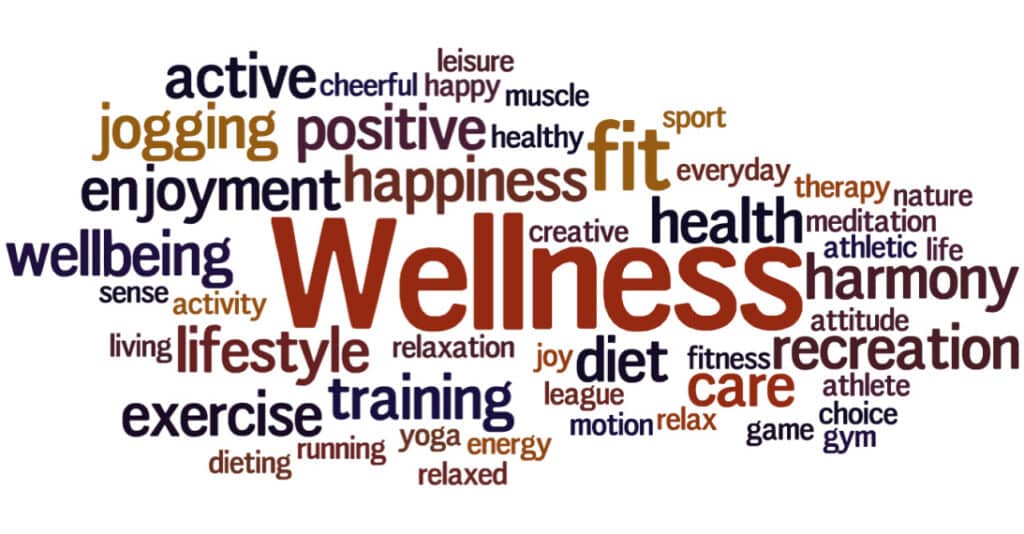 Wellness, word cloud concept on white background.